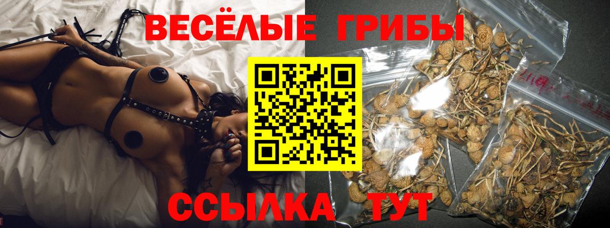 Галлюциногенные грибы MAGIC MUSHROOMS Чита