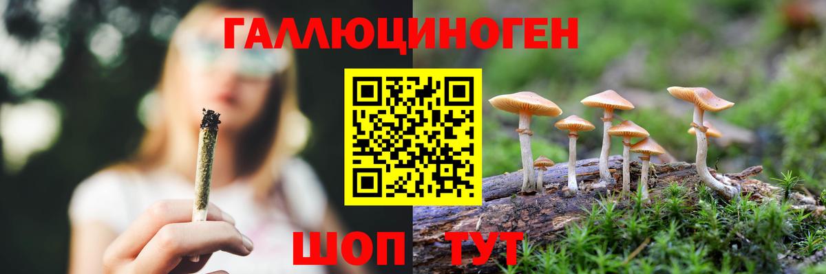Чита  Галлюциногенные грибы ЛСД  Вход с VPN 